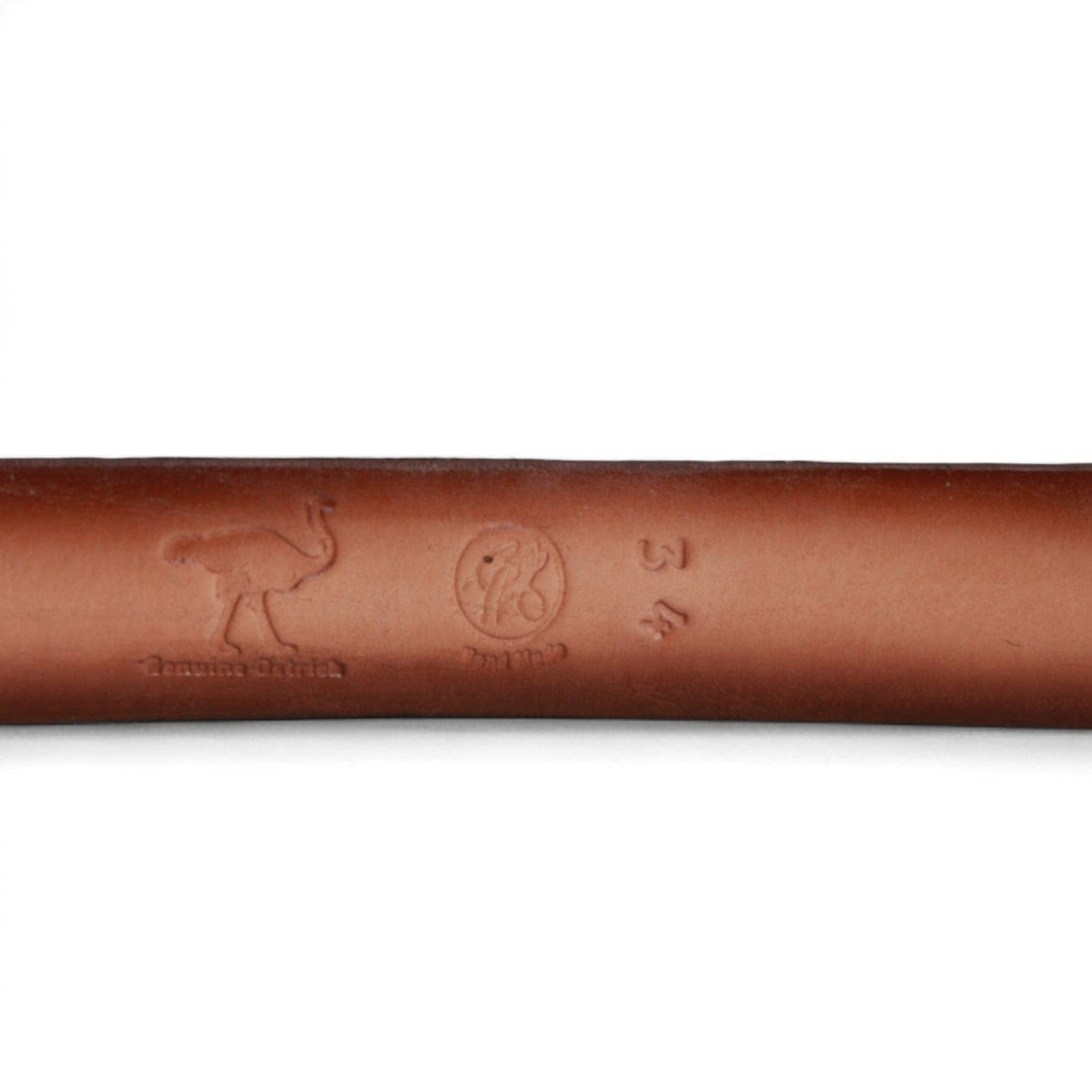 Genuine Ostrich Skin Cowboy Belt - Los Altos Boots