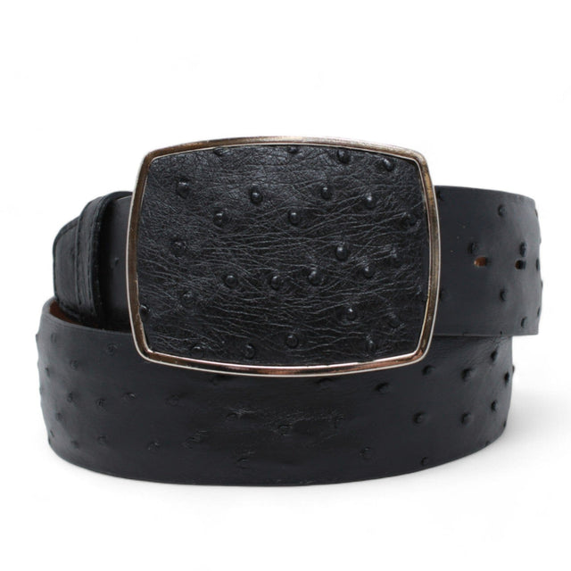 Los Altos Boots Belts Men's Los altos Ostrich Cowboy Belt Black