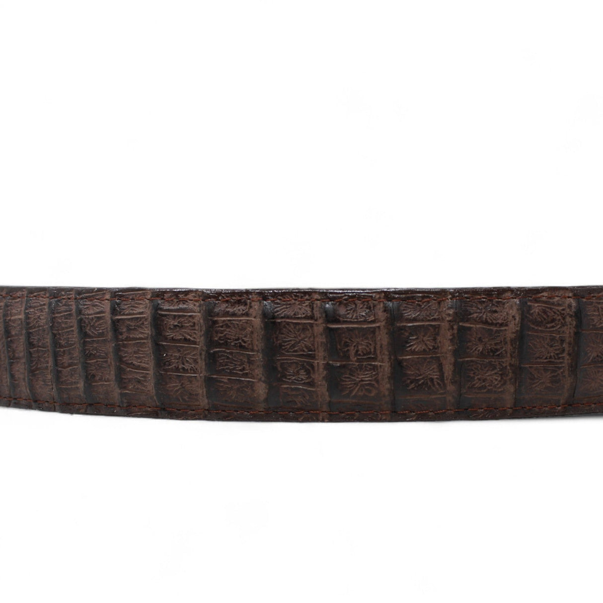 Tanner Mark Boots Belts Cinturon de Piel Genuina con Estampado de Caiman Panza Hebilla Metálica Texas Cafe