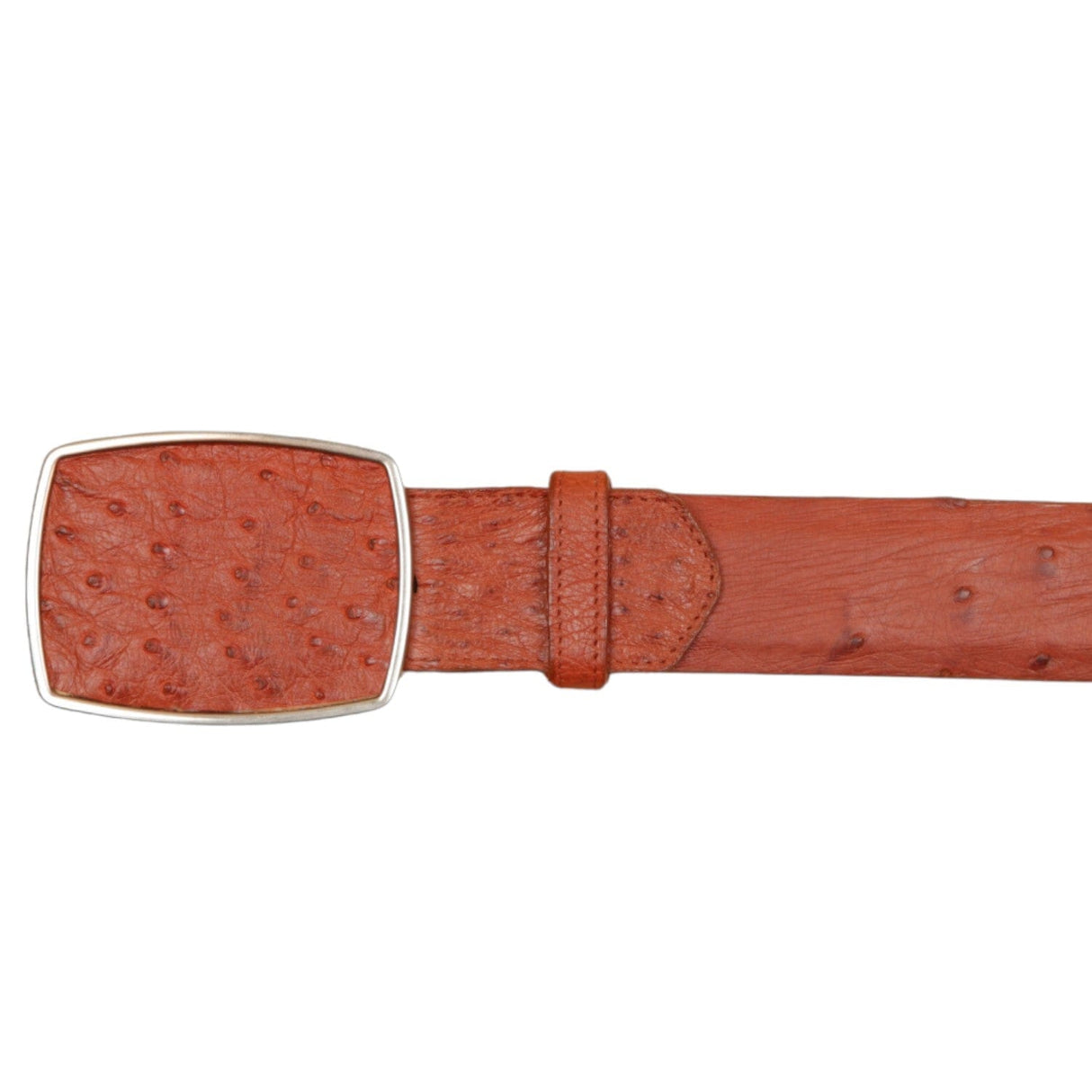 Wild West Boots Belts Men's Wild West Ostrich Skin Cowboy Belt 2C11A0303