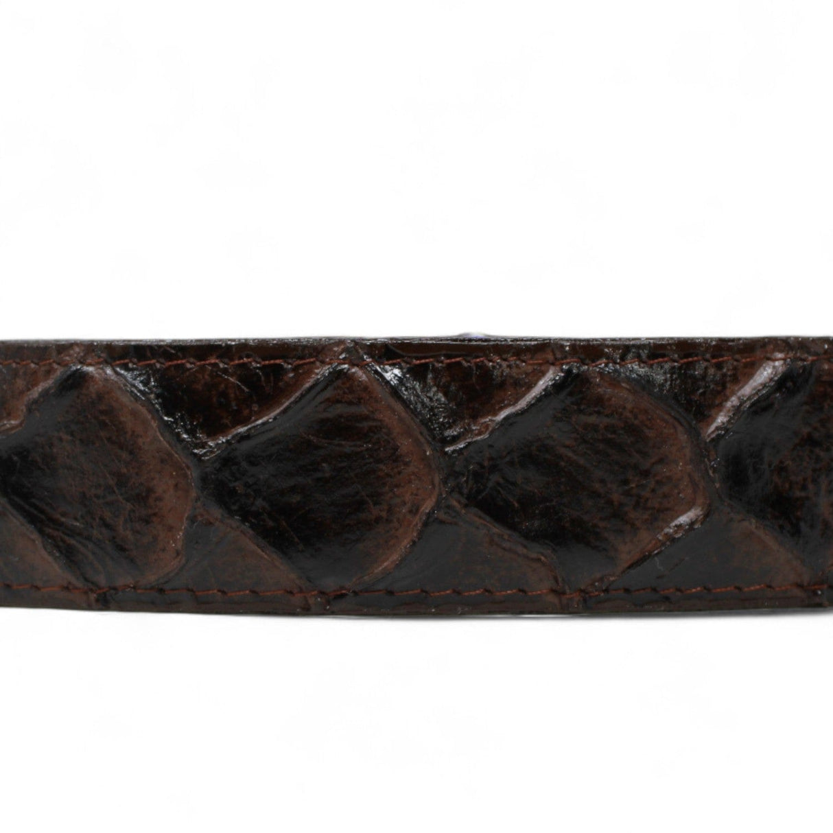 Tanner Mark Boots Belts Cinturón de Piel Genuina con Estampado de Pirarucu y Hebilla Metálica Texas Cafe