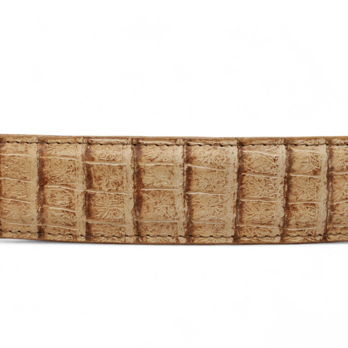 Tanner Mark Boots Belts Cinturon de Piel Genuina con Estampado de Caiman Panza Hebilla Metálica Texas Arena