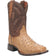 Dan Post Boots Boots Dan Post Men's Alamosa Full Quill Ostrich Square Toe Boots - Sand