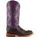 Ferrini Boots Boots Ferrini Women's Rancher Square Toe Boots Crocodile Print - Black/Purple 9049304