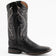 Ferrini Boots Boots Men's Ferrini Taylor Teju Lizard Square Toe Boot 1119304