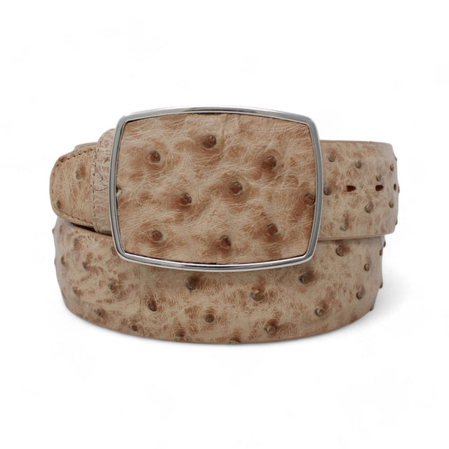 Los Altos Boots Belts Genuine Ostrich Skin Cowboy Belt Moka Color - Los Altos Boots