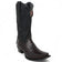 Los Altos Boots Boots Black Cherry / 6 Men's Los Altos Caiman Belly Snip Toe Boots 9482