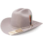 Rodeo Durango Hats 20X Cowboy Felt Hat Sinaloa Style Platinum Gray with Feathers RD-MOR20X-G