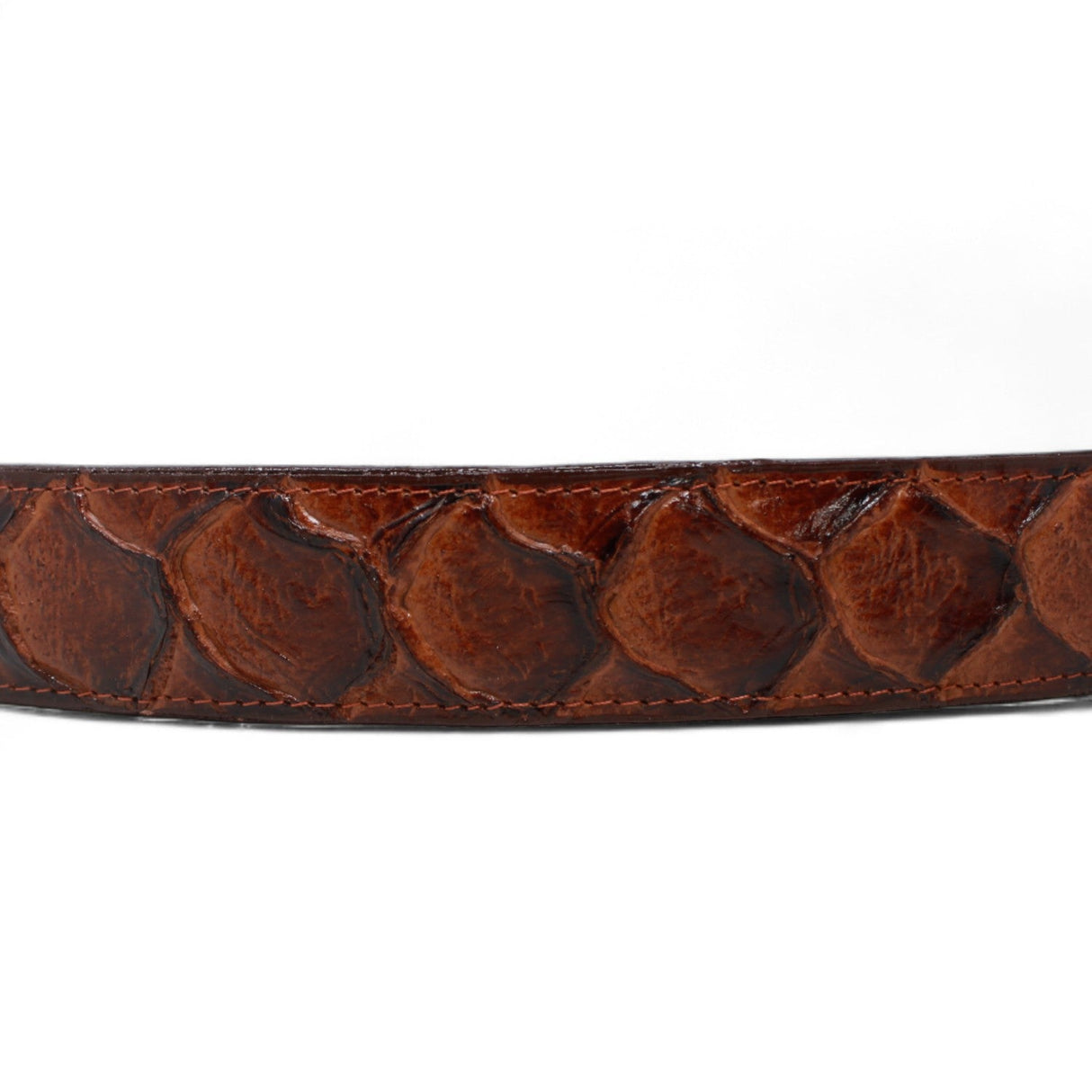 Tanner Mark Boots Belts Cinturón de Piel Genuina con Estampado de Pirarucu y Hebilla Metálica Texas Cognac