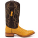 Tanner Mark Boots Boots Tanner Mark Men's Genuine Full Quill Ostrich Square Toe Boots Buttercup TMX200503
