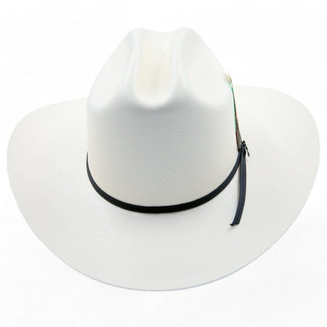 Tombstone Hats Tombstone 100X Sinaloa Cowboy Hat with Feathers 3 1/2" TOM-3904