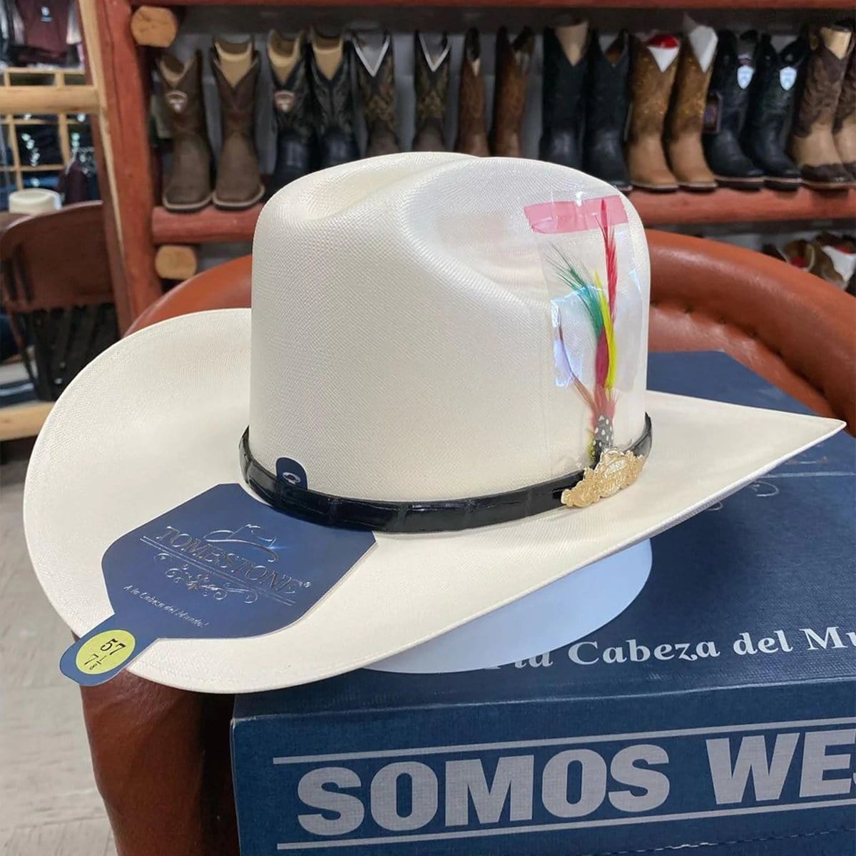 Tombstone Sombrero Sombrero Tombstone 5,000X Estilo Sinaloa con Plumas Ala 3 1/2"