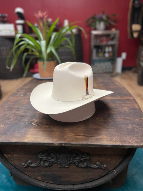 Tombstone Sombrero Tombstone 1,000X Cowboy Hat with Feathers Brim 3 1/2"