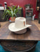 Tombstone Sombrero Tombstone 1,000X Cowboy Hat with Feathers Brim 3 1/2"