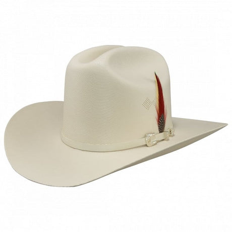 Tombstone Sombrero Tombstone 1,000X Cowboy Hat with Feathers Brim 3 1/2"