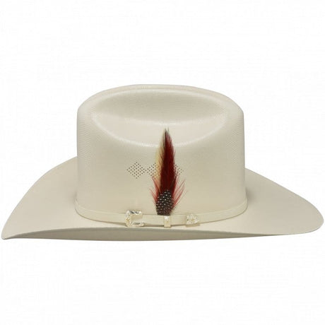 Tombstone Sombrero Tombstone 1,000X Cowboy Hat with Feathers Brim 3 1/2"