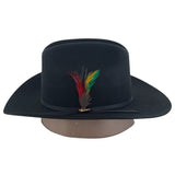 Tombstone Texanas 20X Cowboy Felt Hat Sinaloa Style with Feathers