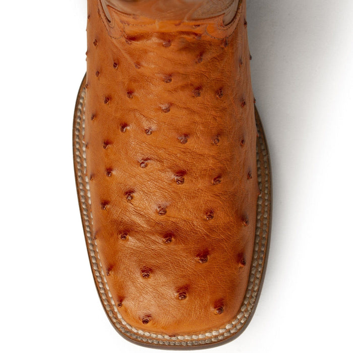 Ferrini Boots Boots 8 D Men's Ferrini Colt Ostrich Square Toe Boot 10193-02