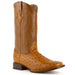 Ferrini Boots Boots Men's Ferrini Colt Ostrich Square Toe Boot 10193-02