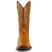 Ferrini Boots Boots Men's Ferrini Colt Ostrich Square Toe Boot 10193-02