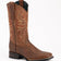 Ferrini Boots Boots Men's Ferrini Toro Leather Square Toe Boots 12993-55