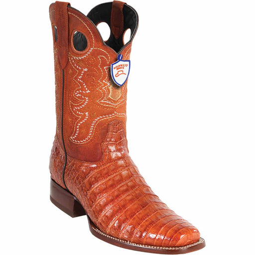 Wild West Boots Boots 6 Men's Wild West Caiman Belly Skin Rodeo Toe Boot 28188203